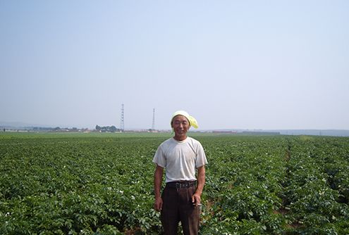 武川縣馬鈴薯示范田